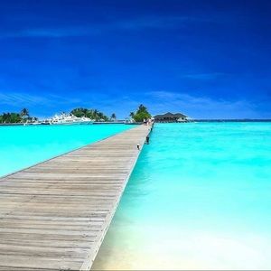 Meet your Posher, Heidi